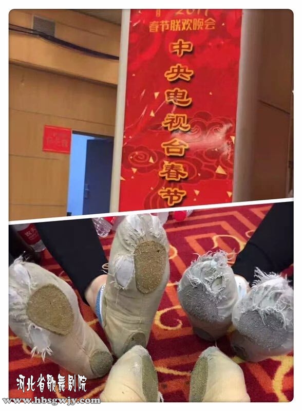 2017春節(jié)聯(lián)歡晚會(huì)