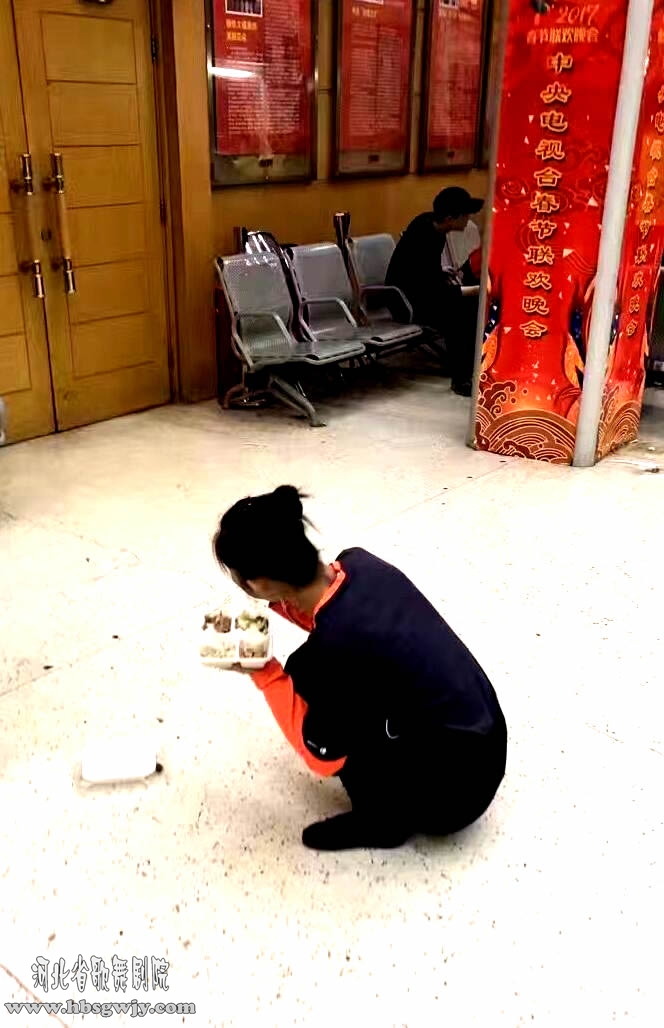 2017春節(jié)聯(lián)歡晚會(huì)